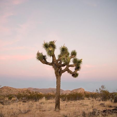 Modern Desert Dream - New Build Twentynine Palms Luaran gambar