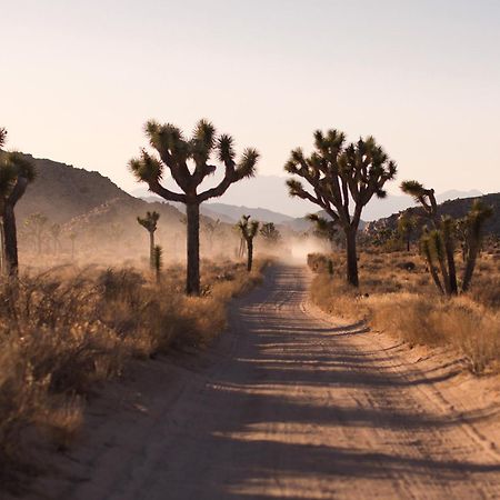 Modern Desert Dream - New Build Twentynine Palms Luaran gambar