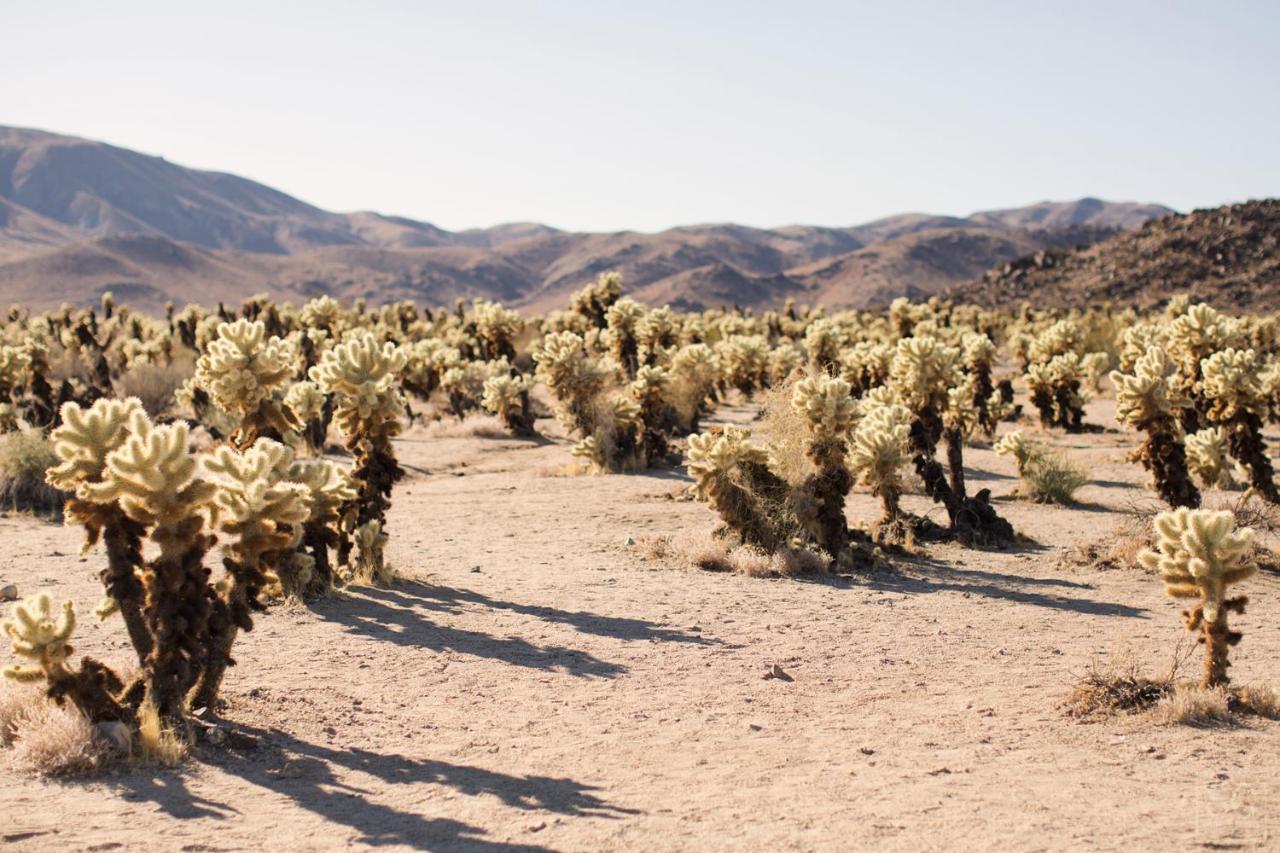 Modern Desert Dream - New Build Twentynine Palms Luaran gambar