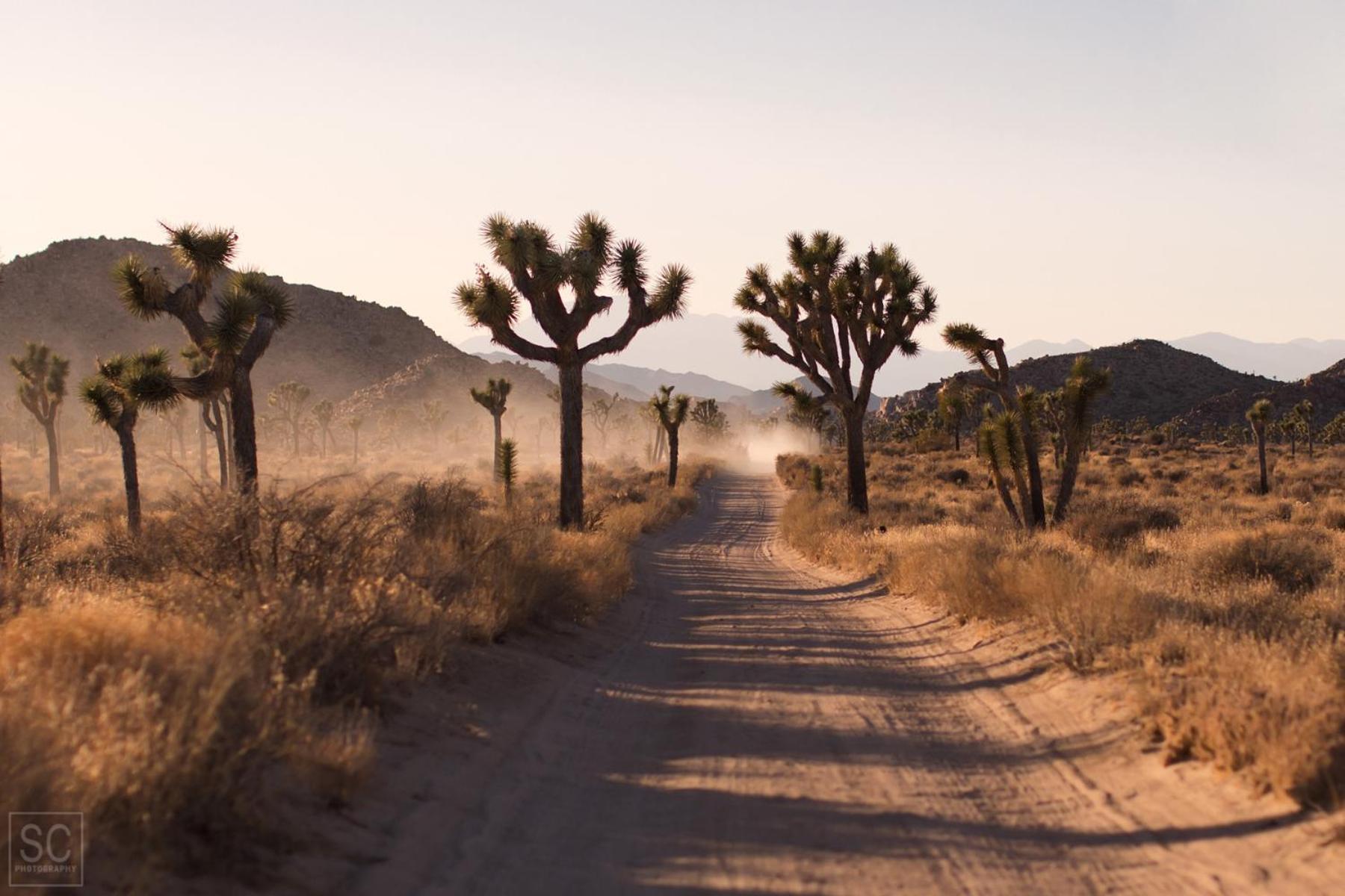 Modern Desert Dream - New Build Twentynine Palms Luaran gambar